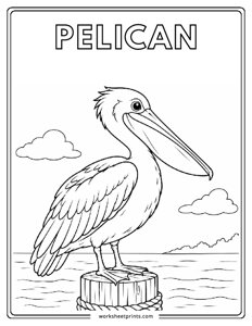 Pelican - Birds Coloring Sheets