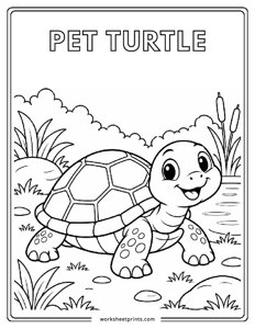 Pet Turtle - Pet Animals Coloring Sheets
