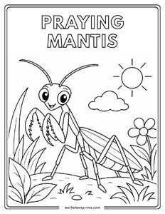 Praying Mantis - Insects Coloring Sheets