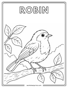 Robin - Birds Coloring Sheets