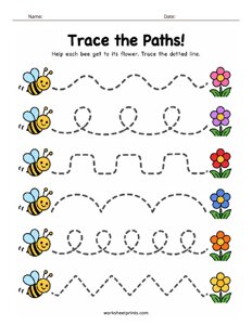 Trace the Bees Path
